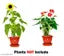 Pots Pack Of 4