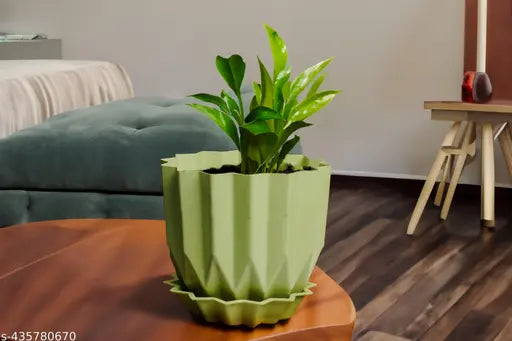 Plastic Flower Pots for Garden