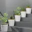 Round Plant Plastic Pots